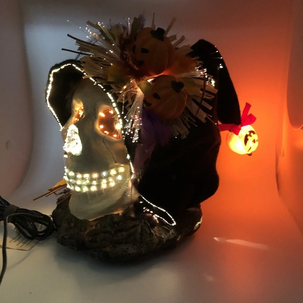 Fiber Optic Halloween Skull With Black Hood Creative Designs